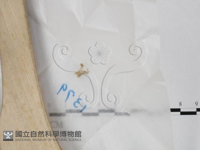 登錄號:F0025755藏品圖，第1張