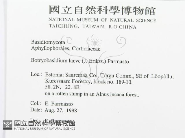 登錄號:F0015755藏品圖，第3張
