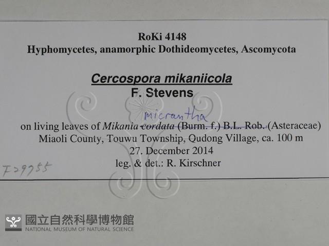 登錄號:F0029755藏品圖，第3張