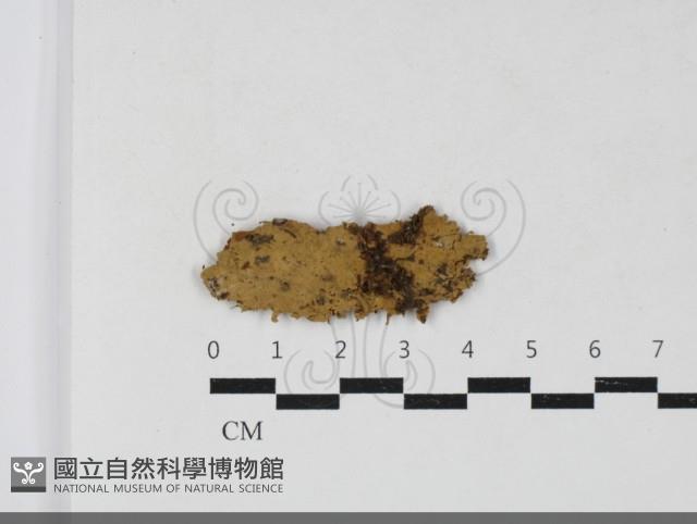 登錄號:F0033755藏品圖，第1張