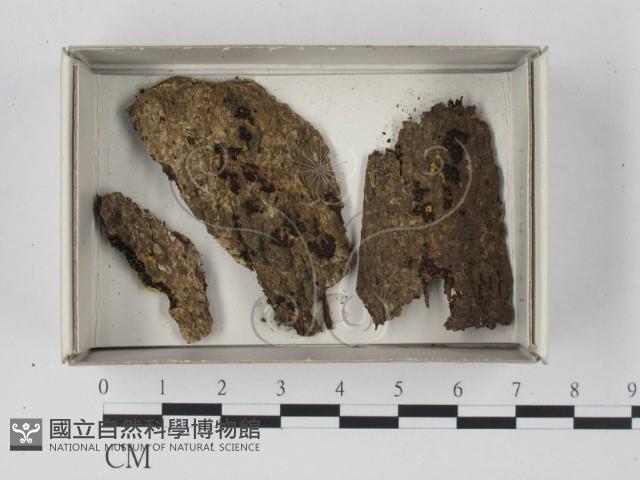登錄號:F0018555藏品圖，第1張