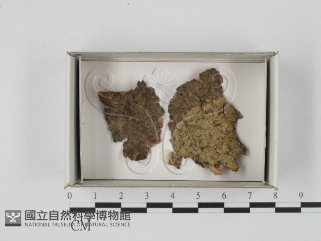 登錄號:F0018155藏品圖，第1張