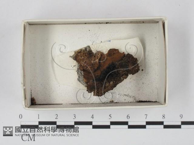 登錄號:F0021155藏品圖，第1張