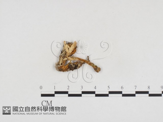 登錄號:F0024155藏品圖，第1張