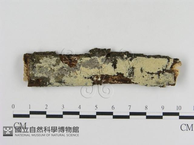 登錄號:F0009155藏品圖，第1張