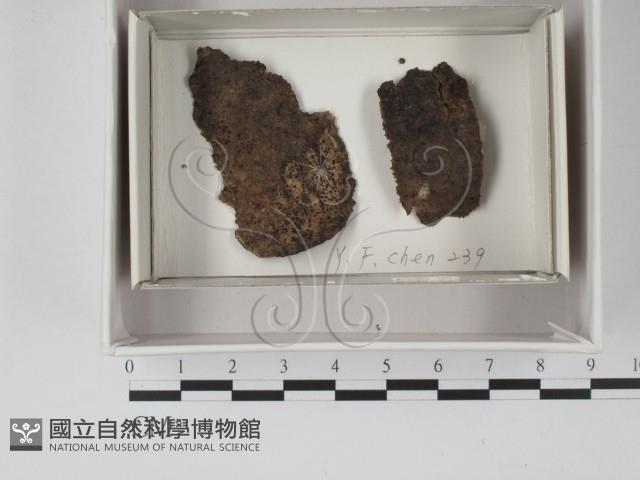 登錄號:F0018055藏品圖，第1張