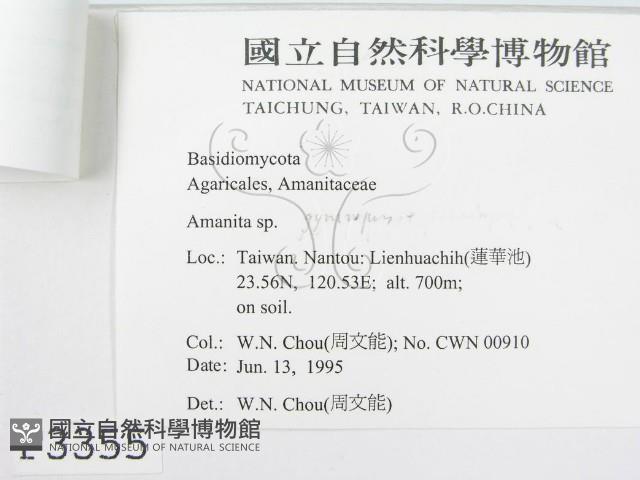 登錄號:F0003355藏品圖，第3張