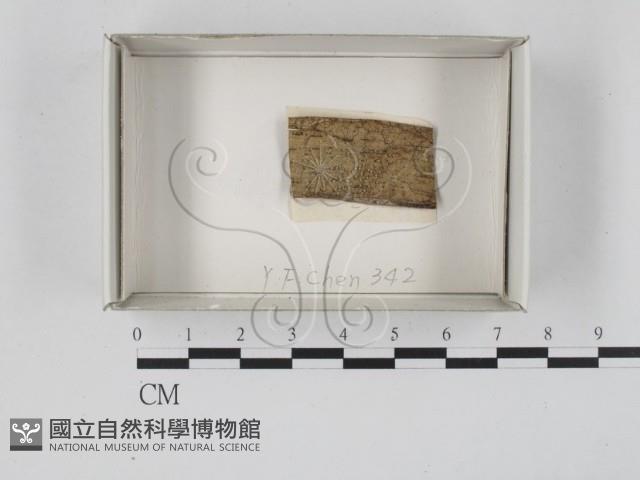 登錄號:F0018245藏品圖，第1張