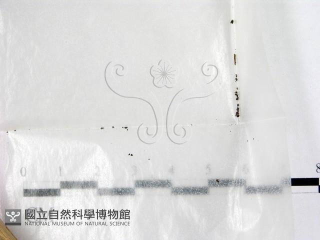 登錄號:F0002245藏品圖，第1張