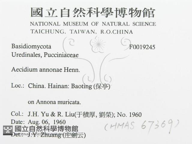 登錄號:F0019245藏品圖，第3張