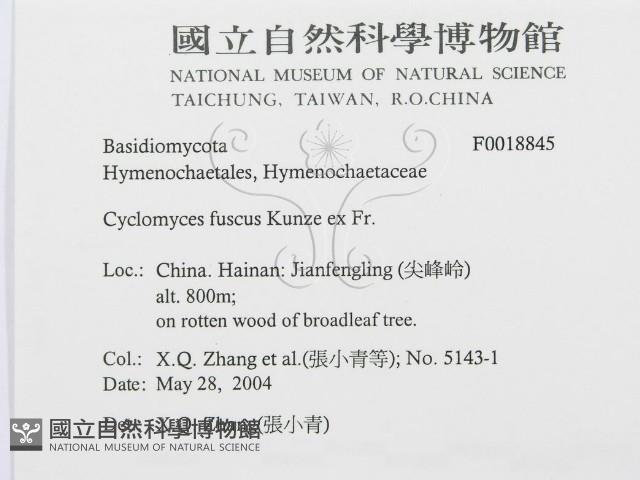登錄號:F0018845藏品圖，第3張