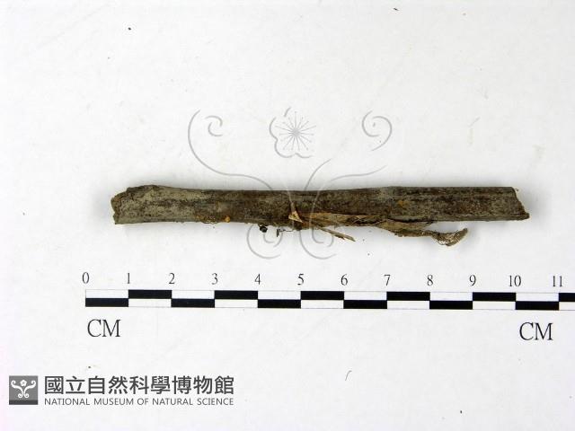 登錄號:F0022845藏品圖，第1張