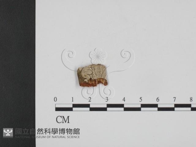 登錄號:F0003845藏品圖，第1張