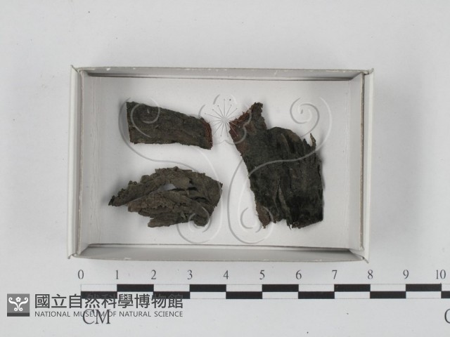 登錄號:F0008945藏品圖，第1張