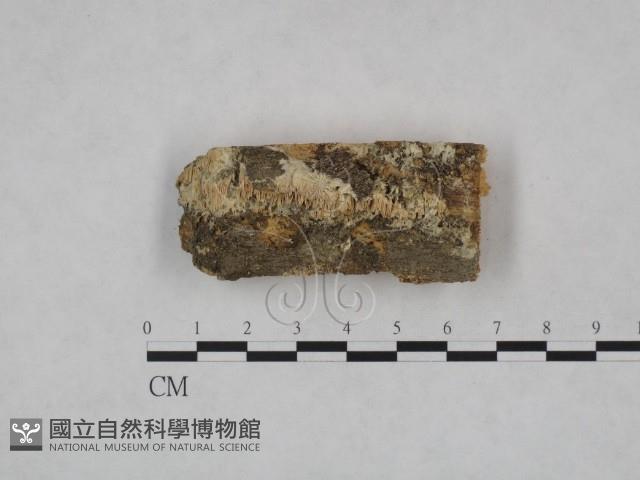 登錄號:F0023945藏品圖，第1張