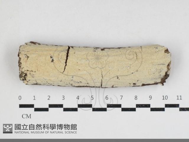登錄號:F0033945藏品圖，第1張