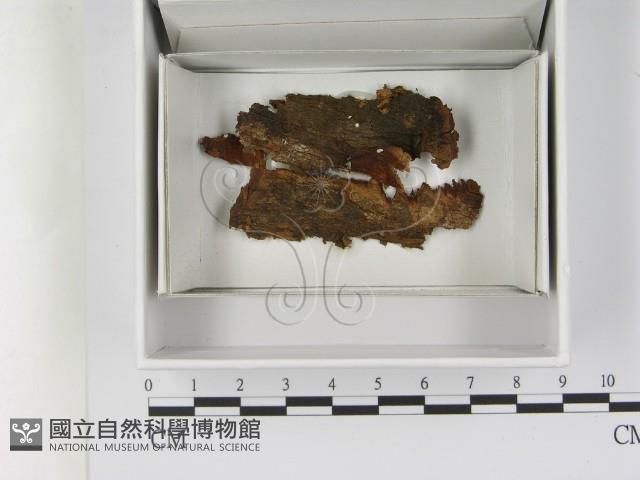 登錄號:F0021645藏品圖，第1張