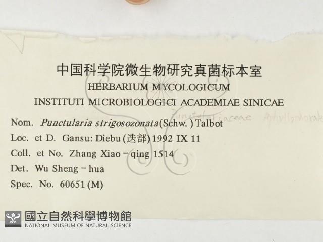 登錄號:F0000445藏品圖，第3張