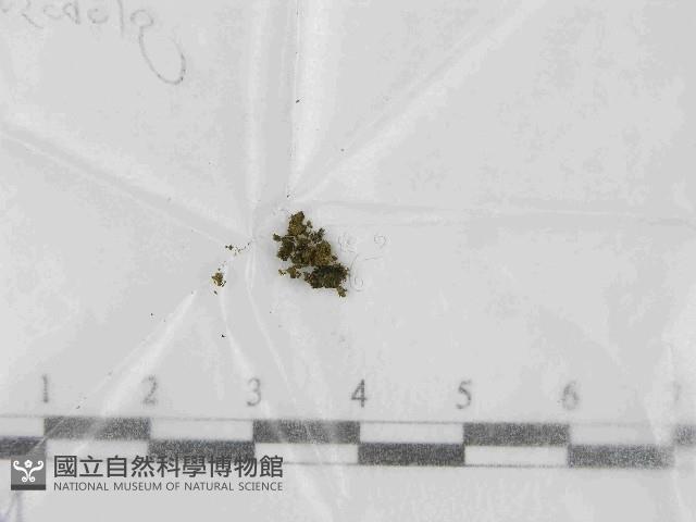 登錄號:F0021445藏品圖，第1張