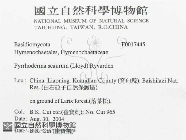 登錄號:F0017445藏品圖，第3張