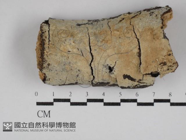 登錄號:F0030745藏品圖，第1張