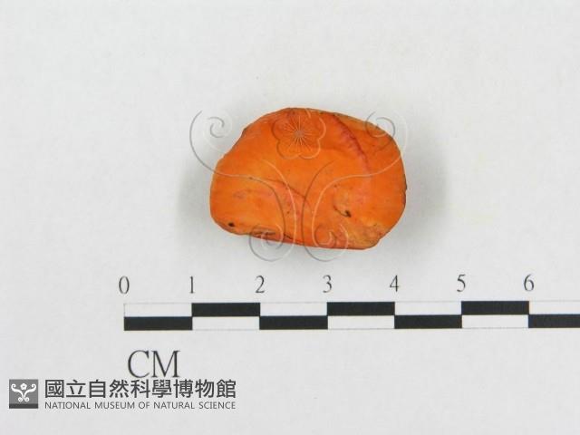 登錄號:F0004745藏品圖，第1張