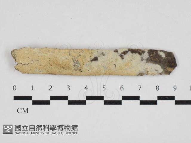 登錄號:F0032745藏品圖，第1張