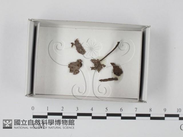 登錄號:F0018545藏品圖，第1張
