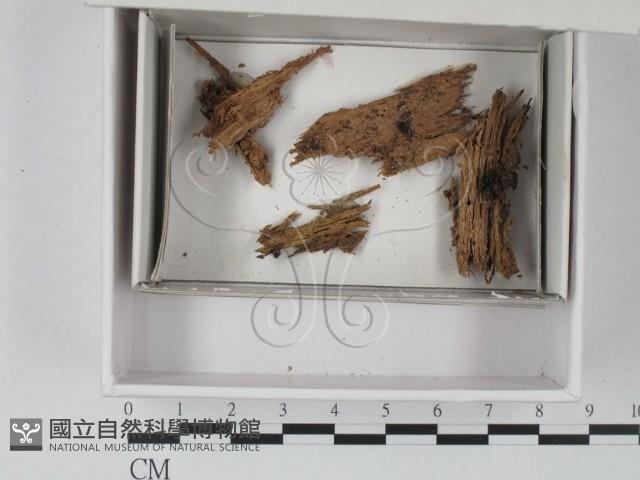 登錄號:F0020545藏品圖，第1張