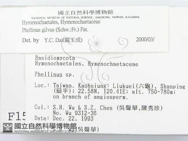 登錄號:F0001545藏品圖，第3張