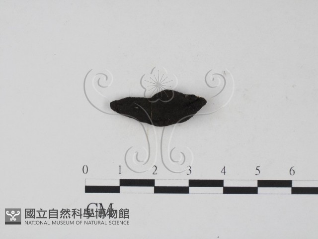 登錄號:F0009545藏品圖，第1張