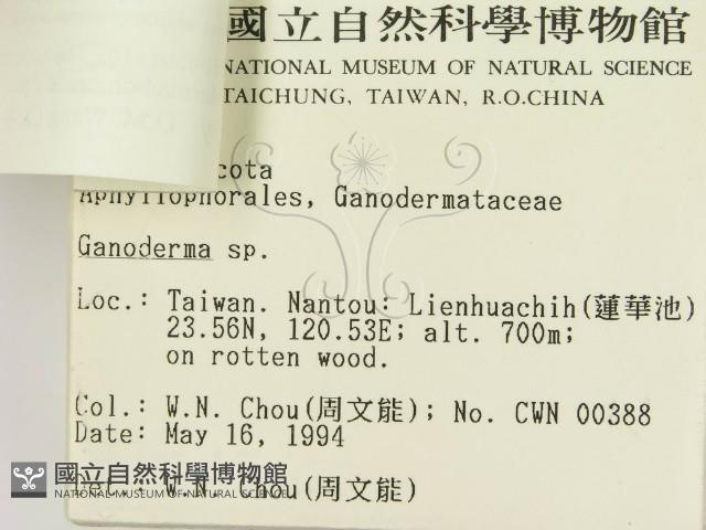 登錄號:F0002145藏品圖，第3張