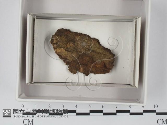 登錄號:F0018045藏品圖，第1張