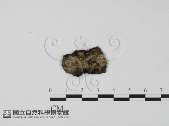 登錄號:F0021045藏品圖，第1張
