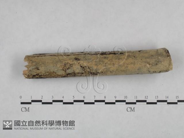 登錄號:F0025045藏品圖，第1張