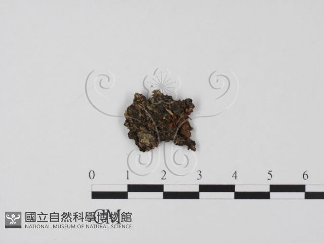 登錄號:F0015045藏品圖，第1張