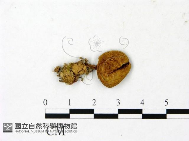 登錄號:F0023045藏品圖，第1張
