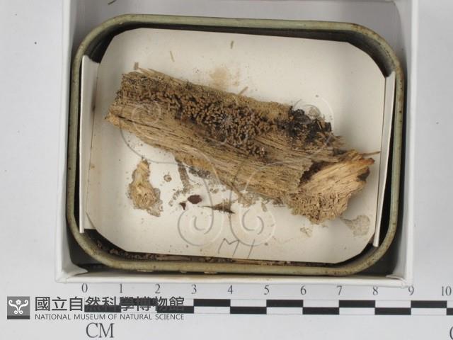 登錄號:F0018345藏品圖，第1張
