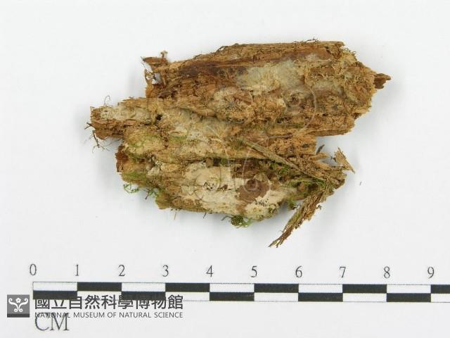 登錄號:F0015345藏品圖，第1張