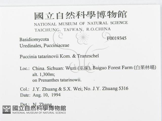 登錄號:F0019345藏品圖，第3張