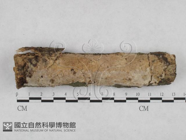 登錄號:F0028235藏品圖，第1張