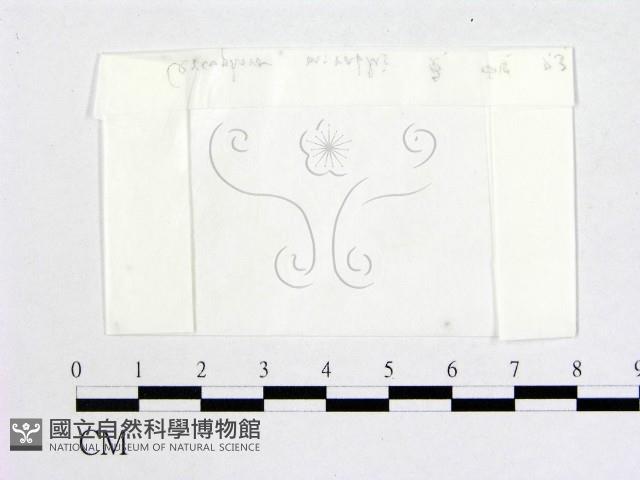 登錄號:F0000235藏品圖，第1張