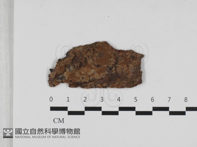 登錄號:F0033235藏品圖，第1張