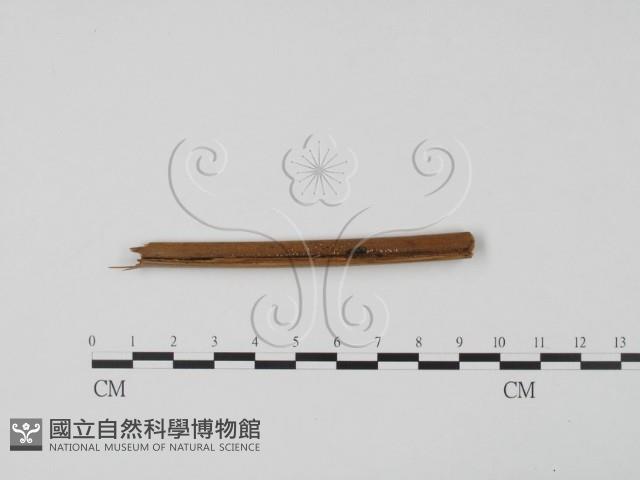 登錄號:F0009835藏品圖，第1張