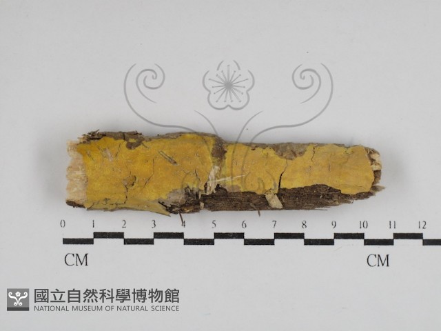 登錄號:F0030935藏品圖，第1張