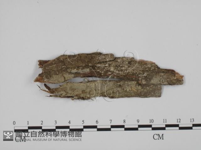 登錄號:F0001935藏品圖，第1張