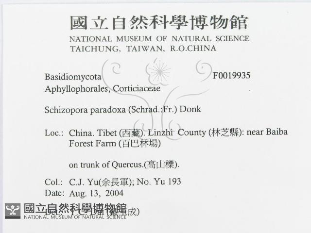 登錄號:F0019935藏品圖，第3張