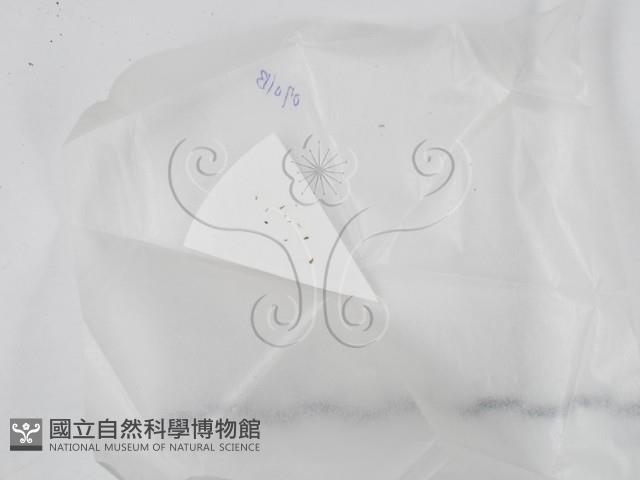 登錄號:F0020635藏品圖，第1張