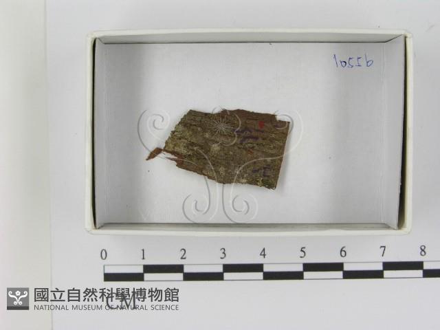 登錄號:F0021635藏品圖，第1張