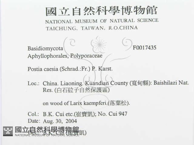 登錄號:F0017435藏品圖，第3張